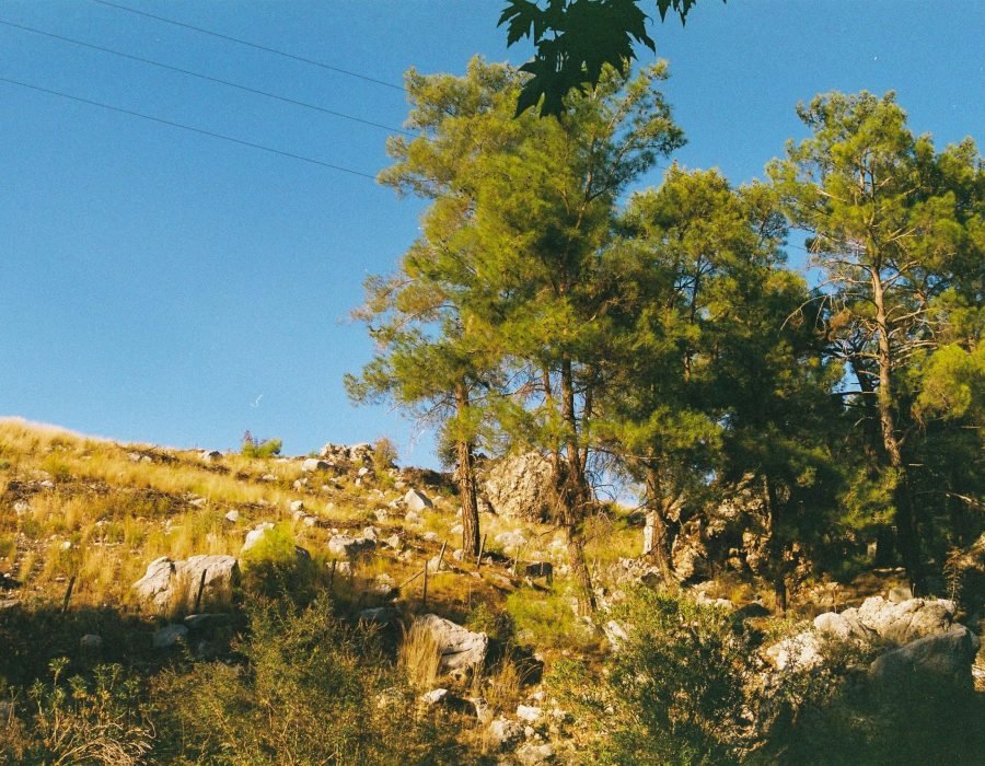 pexels-aysegul-aytoren-46790226-14524994